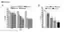 Fig. 35 - Compositions and methods to prevent cancer by stabilizing P53 through non MDM2-mediated pathways