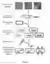 Fig. 02 - Metagenomic Functional Selection