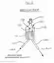 Fig. 07 - DECELLULARIZATION AND RECELLULARIZATION APPARATUSES AND SYSTEMS CONTAINING THE SAME