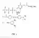Fig. 02 - System and methods for nucleic acid sequencing of single molecules by polymerase synthesis
