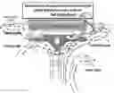 Fig. 01 - Floating oxygenation circulator platform (OCP) with sub-vortex induction means