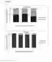 Fig. 03 - IL-17 Mediated Transfection Methods
