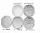 Fig. 01 - Method for maintaining pluripotency in cells
