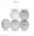 Fig. 02 - Method for maintaining pluripotency in cells
