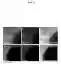 Fig. 09 - Method for maintaining pluripotency in cells