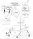 Fig. 01 - METHODS AND APPARATUS FOR ENCAPSULATING FEMTOCELL TRAFFIC