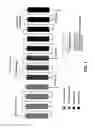 Fig. 04 - Method of preparing a composition using argentation chromatography