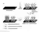 Fig. 01 - Solid substrate comprising array of dendrons and methods for using the same