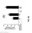 Fig. 08 - SMAC Peptidomimetics and the Uses Thereof