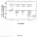 Fig. 14 - Use of (−)(3-trihalomethylphenoxy)(4-halophenyl) acetic acid derivatives for treatment of type 2 diabetes