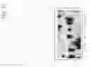 Fig. 43 - Macromolecular nucleotide compounds and methods for using the same