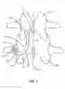 Fig. 02 - Pedicle-Based Posterior Stabilization Members and Methods of Use