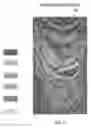 Fig. 04 - Pseudo logs to improve stratigraphic correlation between sedimentary basins