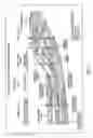 Fig. 06 - Pseudo logs to improve stratigraphic correlation between sedimentary basins