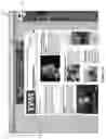Fig. 08 - Scrollable preview of content