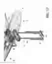 Fig. 09 - Ironing board having a tiltable body