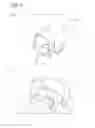Fig. 06 - Pet toy