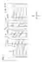 Fig. 02 - Pneumatic tire with tread having circumferential auxiliary grooves