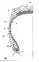 Fig. 02 - Tire innerliner