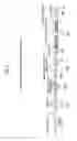 Fig. 06 - Manufacturing method of absorbent article