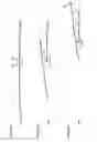 Fig. 03 - Sunroof apparatus