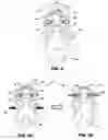 Fig. 05 - Test handler including gripper-type test contactor