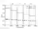 Fig. 09 - Touch screen panel