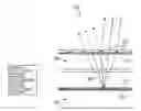 Fig. 01 - Lenticular display systems with offset color filter array