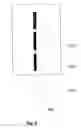 Fig. 09 - Systems and methods for improving visual perception