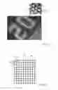 Fig. 09 - System and method for optical coherence tomography with modulated detector sensitivity