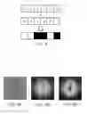 Fig. 08 - METHOD AND APPARATUS FOR PHASE-ENCODED HOMOGENIZED FOURIER TRANSFORM HOLOGRAPHIC DATA STORAGE AND RECOVERY