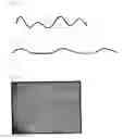 Fig. 02 - Method for producing optical layered body, production apparatus of optical layered body, optical layered body, polarizer and image display device