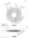 Fig. 09 - HIGH INTENSITY PULSED LIGHT SOURCE CONFIGURATIONS