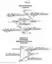 Fig. 05 - NETWORK CONTROLLED OVERHEAD REDUCTION OF DATA PACKETS BY ROUTE OPTIMIZATION PROCEDURE