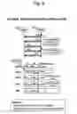 Fig. 10 - NETWORK CONTROLLED OVERHEAD REDUCTION OF DATA PACKETS BY ROUTE OPTIMIZATION PROCEDURE