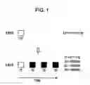 Fig. 02 - Image processing apparatus, image processing method, and program