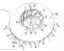Fig. 01 - Radial fan impeller