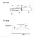 Fig. 09 - Chromatography quantitative measuring apparatus