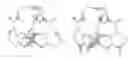 Fig. 01 - Multidentate Pyrone-Derived Chelators for Medicinal Imaging and Chelation