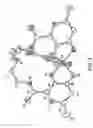 Fig. 04 - Multidentate Pyrone-Derived Chelators for Medicinal Imaging and Chelation