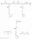 Fig. 01 - Antioxidant polymers containing [1,2]-dithiolane moieties and uses thereof