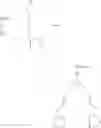 Fig. 65 - Antioxidant polymers containing [1,2]-dithiolane moieties and uses thereof