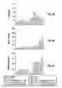 Fig. 09 - Method of Treating Cancer with Immunomodulatory Compounds and IgG