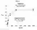 Fig. 05 - COMPOSITIONS AND METHODS FOR BLOOD-BRAIN BARRIER DELIVERY OF ORGANOPHOSPHATASES