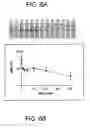 Fig. 07 - Determination of AM-binding proteins and the association of adrenomedullin (AM) therewith