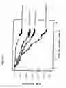 Fig. 19 - Method for predicting cancer and other diseases