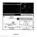 Fig. 04 - Single-walled carbon nanotubes and methods of preparation thereof