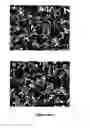 Fig. 06 - Single-walled carbon nanotubes and methods of preparation thereof