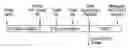 Fig. 01 - Non-dividing cell-based assay for high throughput antiviral compound screening