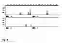 Fig. 04 - Allele Detection
